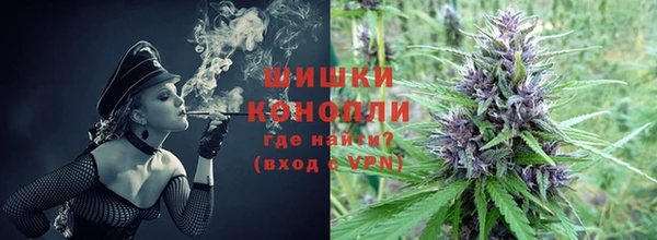 ГАЛЛЮЦИНОГЕННЫЕ ГРИБЫ Алзамай