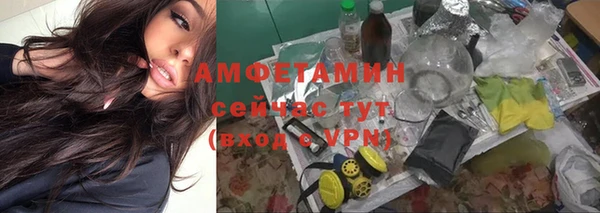 ГАЛЛЮЦИНОГЕННЫЕ ГРИБЫ Алзамай