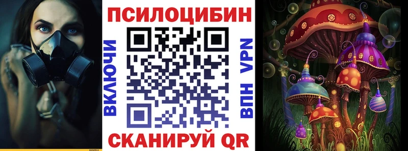 даркнет сайт  Стародуб  Псилоцибиновые грибы мухоморы 